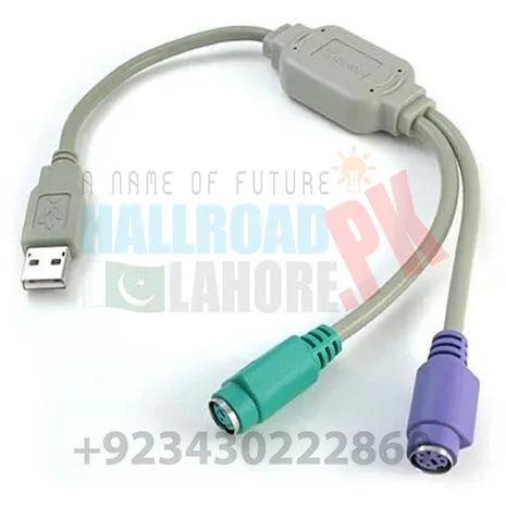 Usb Male To Ps/2 Ps2 Female Cable Adapter Converter – Hallroadlahore.pk