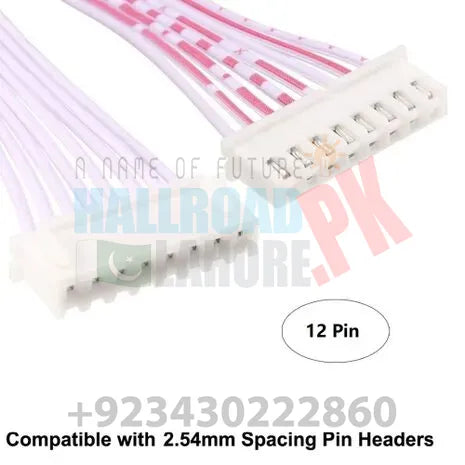 12 Pin 2.54mm Pitch Female to Female JST XH Connector Cable 30cm Wire