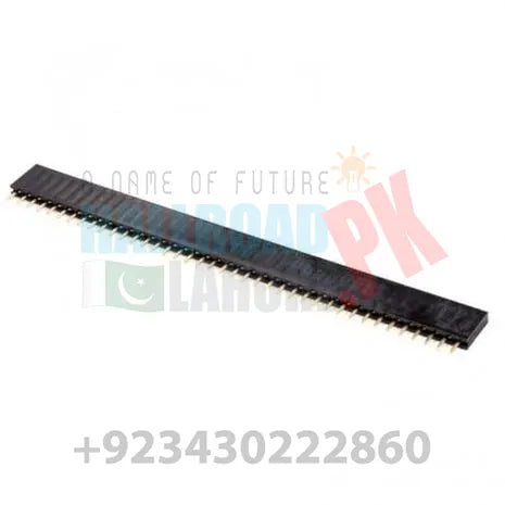 40 Pin Single Row Female Header Strip