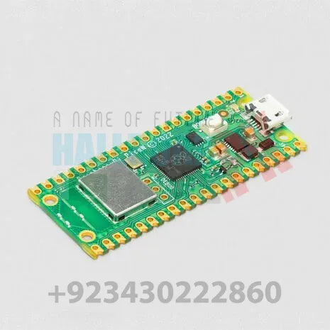 Raspberry Pi Pico w
